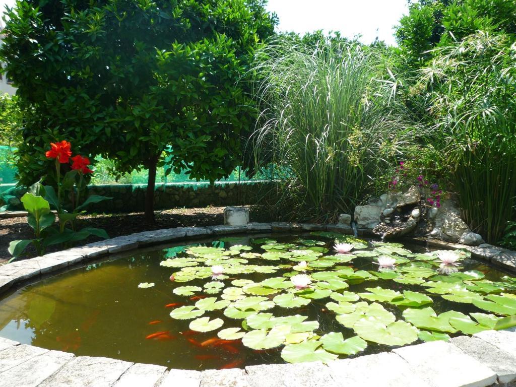 Bed and Breakfast Antun Mozara Family House Slano Exterior foto