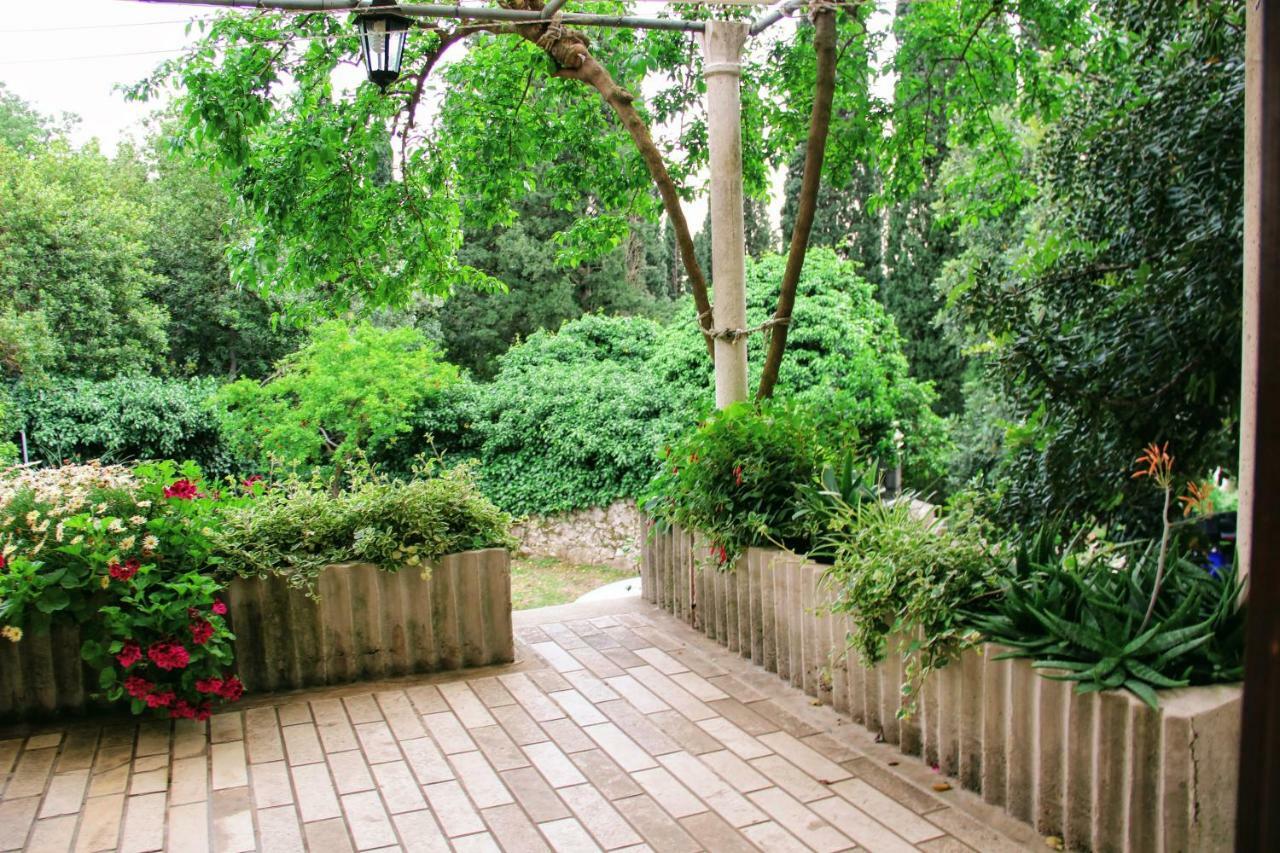 Bed and Breakfast Antun Mozara Family House Slano Exterior foto