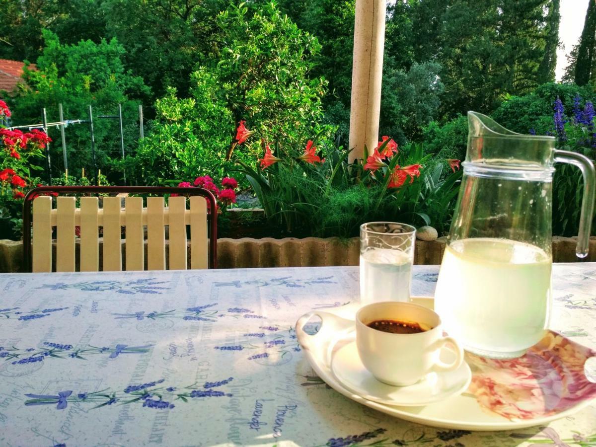 Bed and Breakfast Antun Mozara Family House Slano Exterior foto