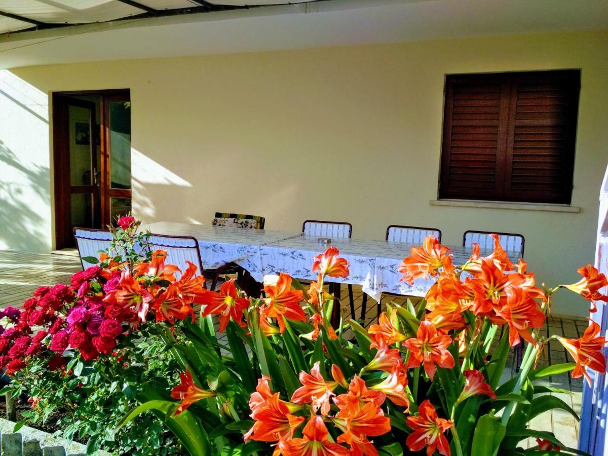 Bed and Breakfast Antun Mozara Family House Slano Exterior foto